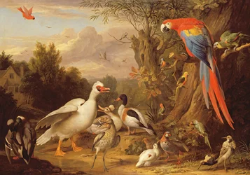 Ara, kaczki, papugi i inne ptaki w krajobrazie, około 1708-10